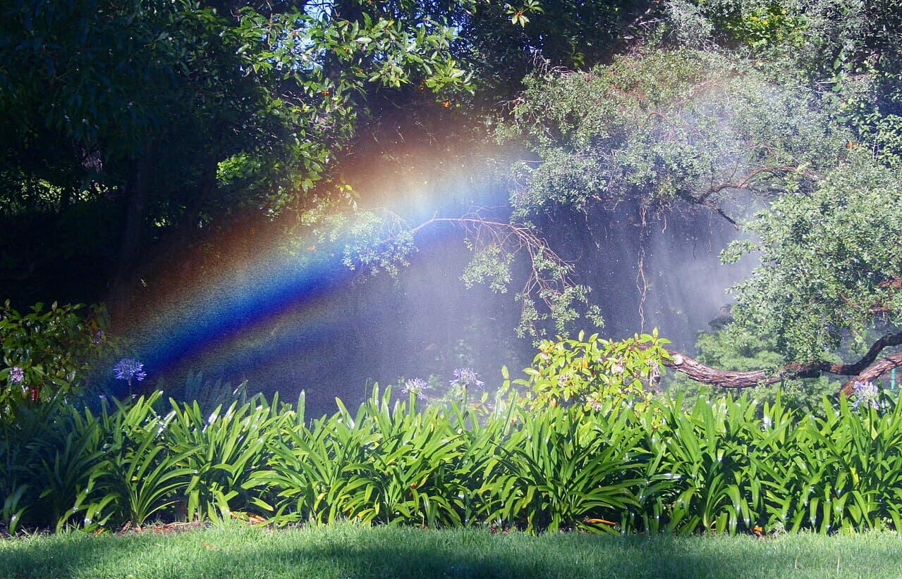 Ron Williams Sprinkler Rainbow